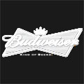 Budweiser chose CryoFX Co2 Special Effects Company for their custom co2 jet system